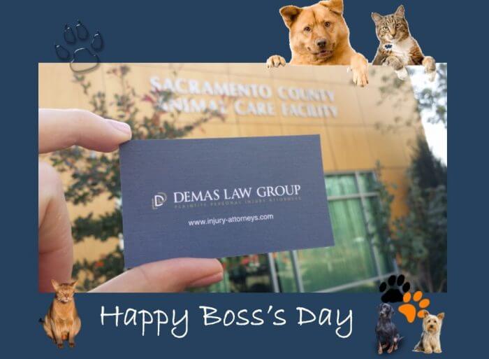 boss's day demas law group